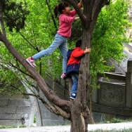 姐弟爬树