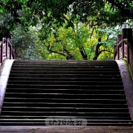 拱桥台阶