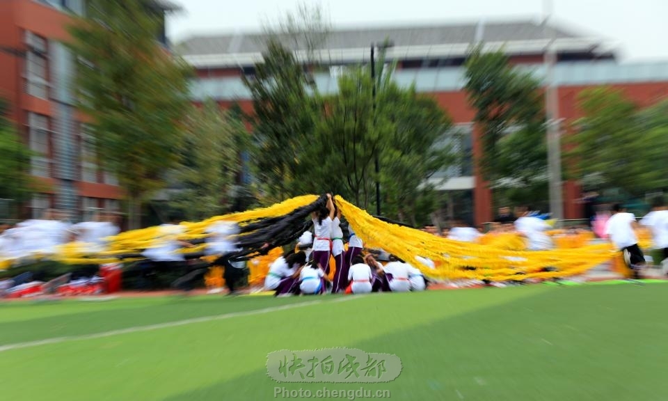 高新一小运动会作文