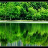 翠绿东湖