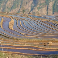 米易新山梯田...