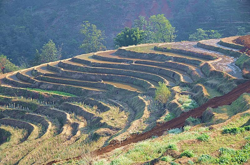 米易新山梯田