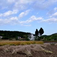 田原    风光...