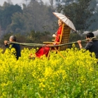 看官，带你到油菜花香的金堂三溪镇白庙村去