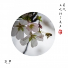 春风又吹红了花蕊