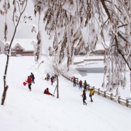 西岭雪山迎来...