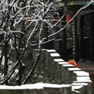 玉垒山赏春雪...